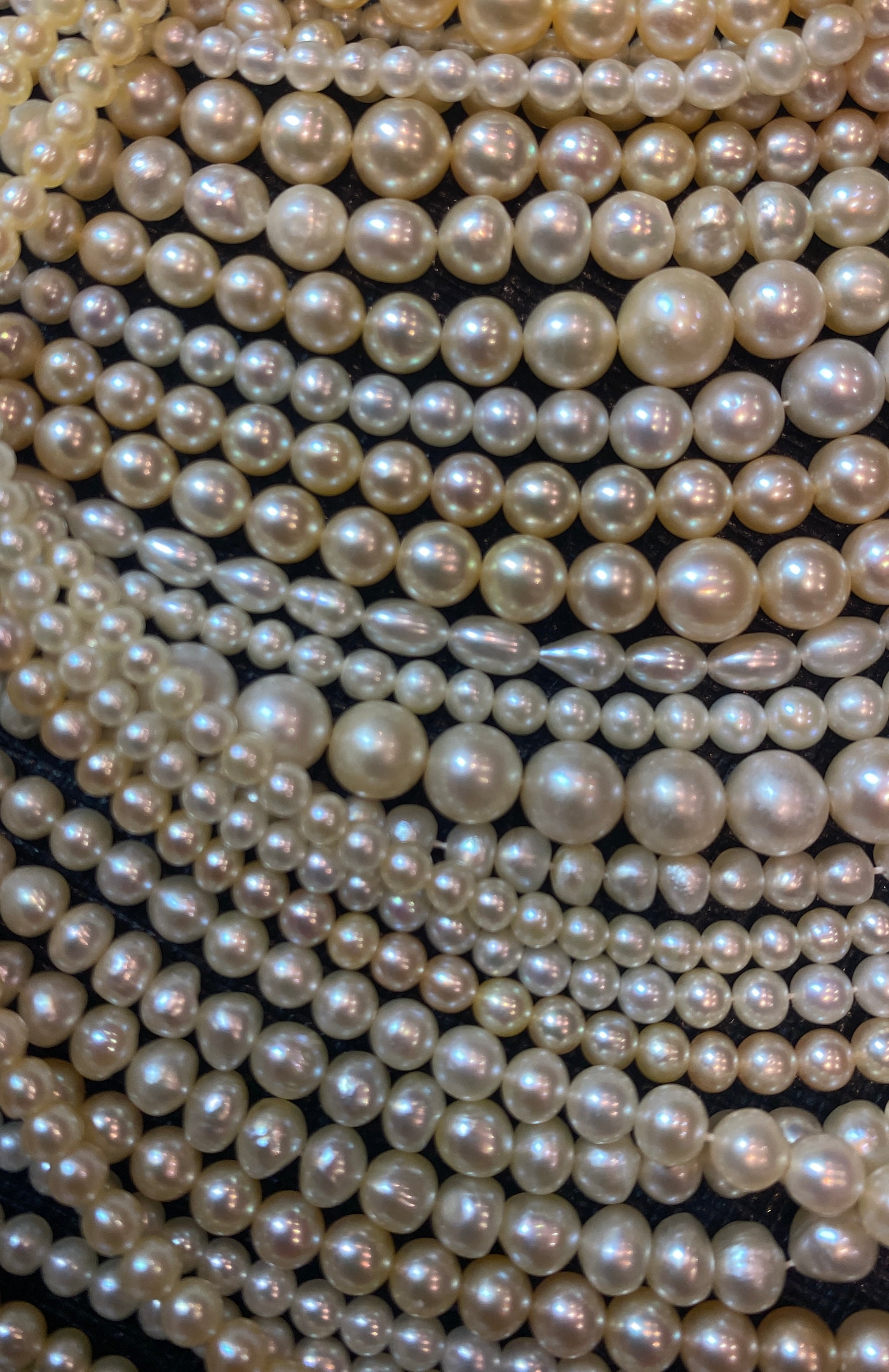 NATURAL PEARLS FROM BAHRAIN